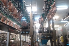 IMG_20160303_200000121