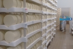 IMG_20160720_111921915